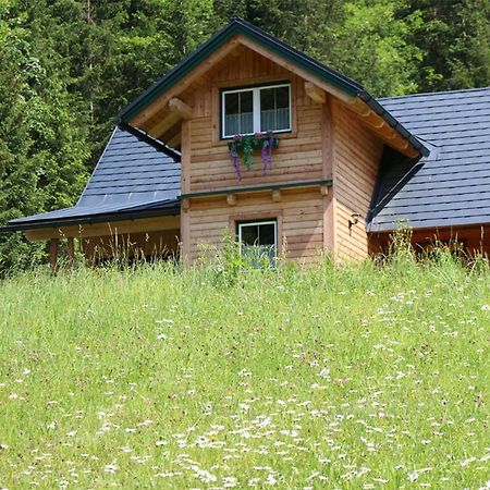 Forstauer'S Teichalm Villa Gams bei Hieflau Exterior photo